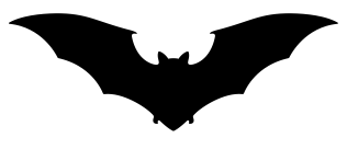 bat